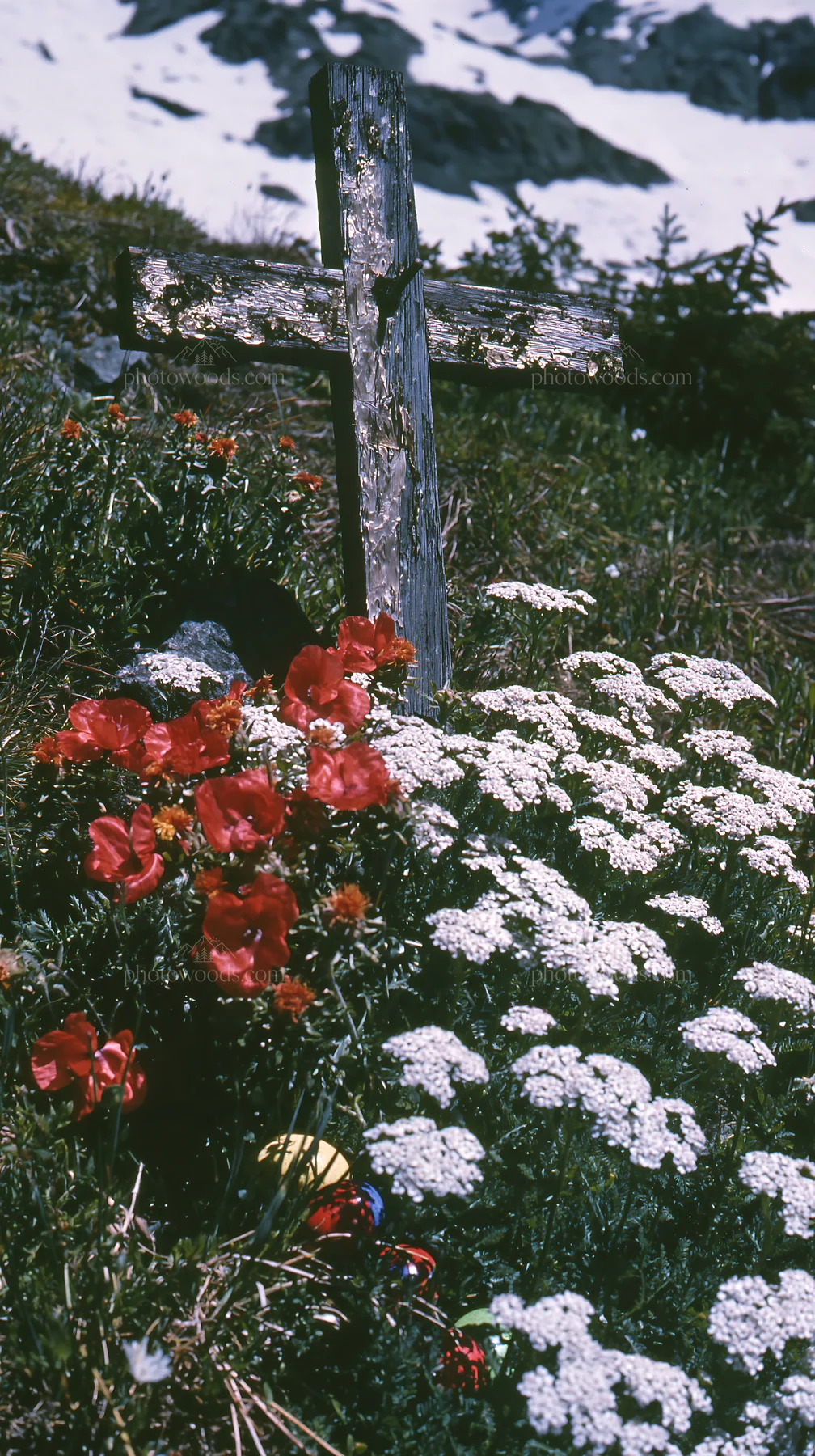 Weathered Christian cross surrounded by flowers in snowy meadow - AI-generated stock image
