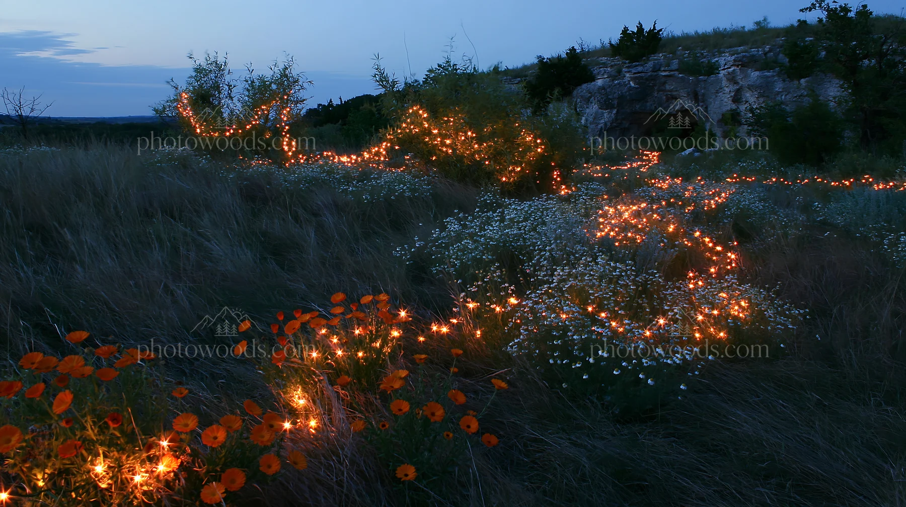 Christmas lights glowing in meadow near cave at dusk - AI-generated stock image