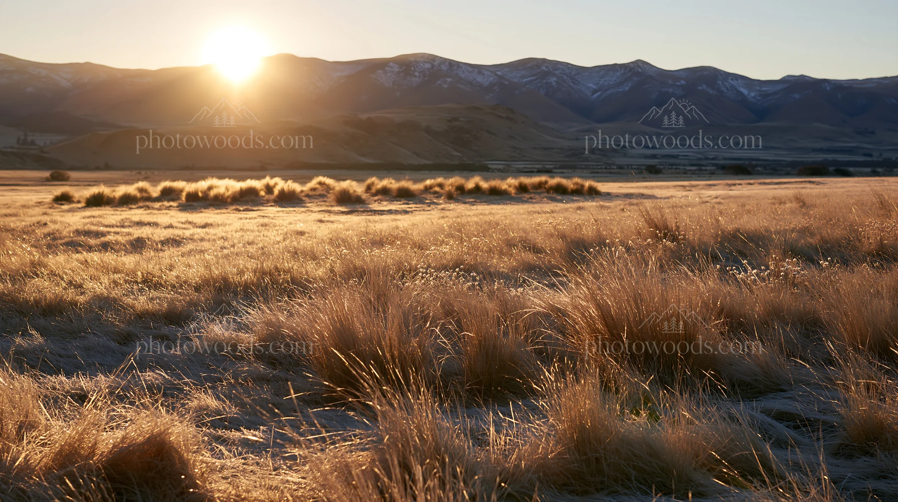 Frosty meadow at sunrise in mountainous landscape - AI-generated stock image