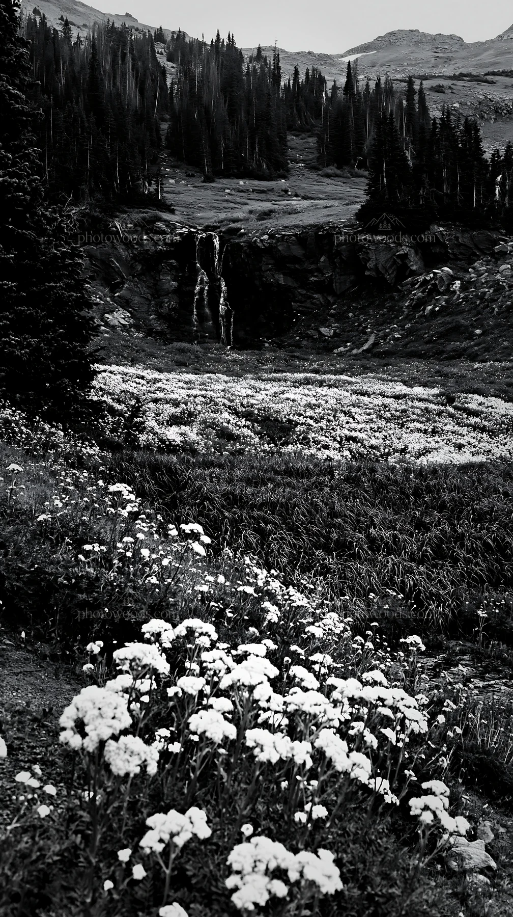 Waterfall in alpine meadow with flowers and trees - AI-generated stock image