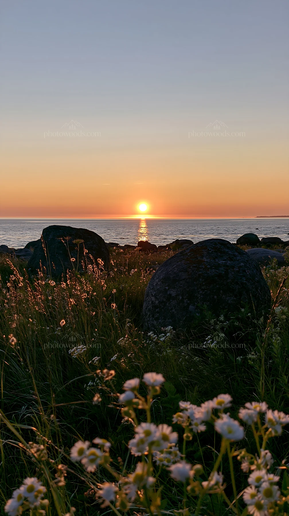 Meadow with boulders at sunset near the water - AI-generated stock image