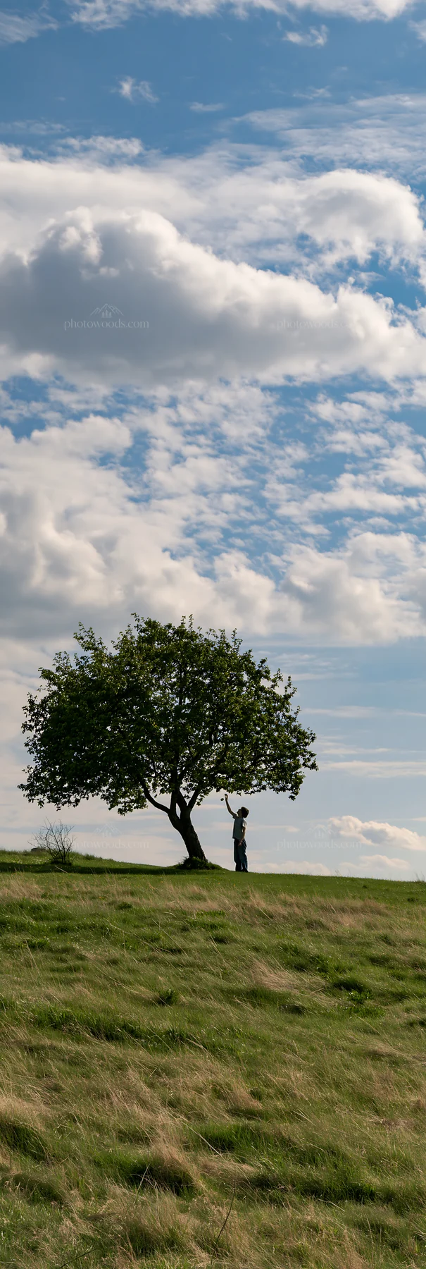 Easter apple tree under cloudy sky with a person nearby - AI-generated stock image