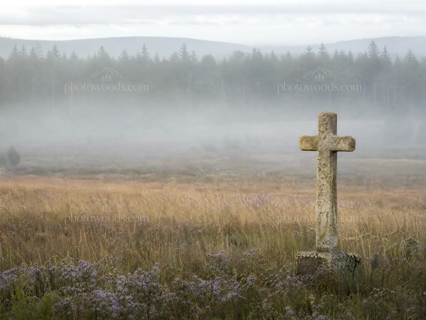 Weathered Christian cross in misty meadow near hot springs - AI-generated stock image