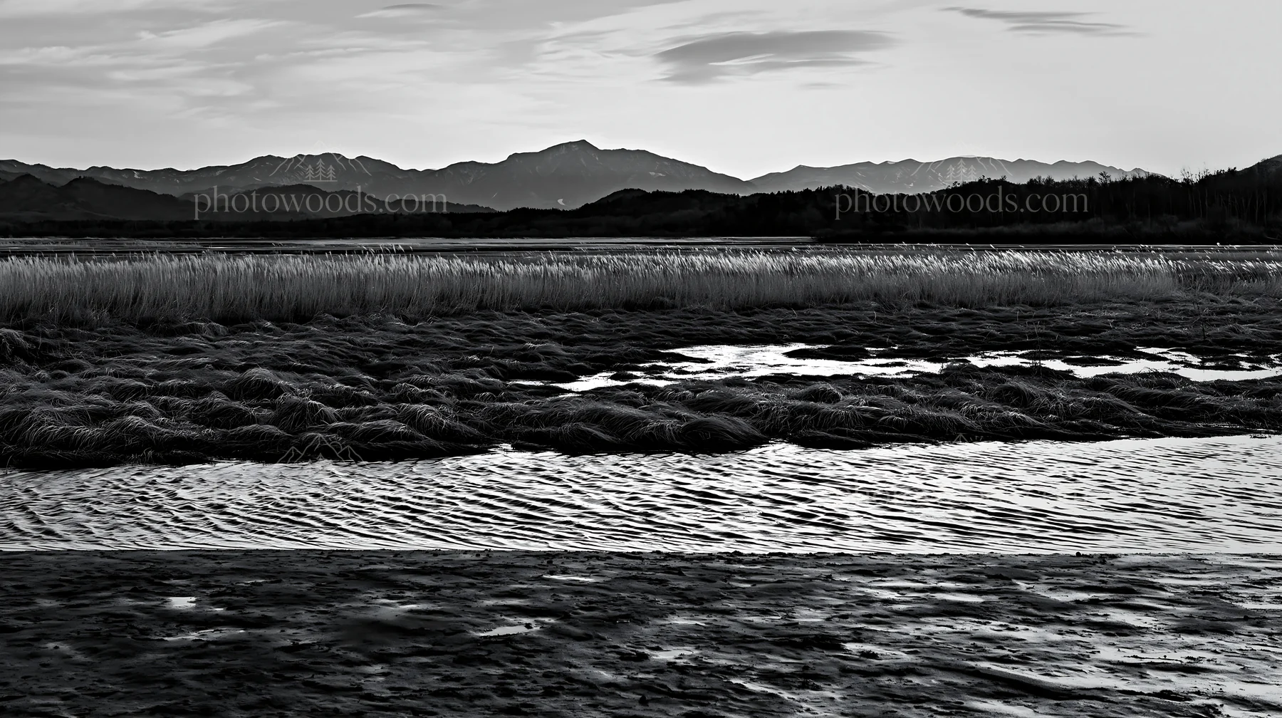 Akita meadow with silver grasses and snowmelt river - AI-generated stock image
