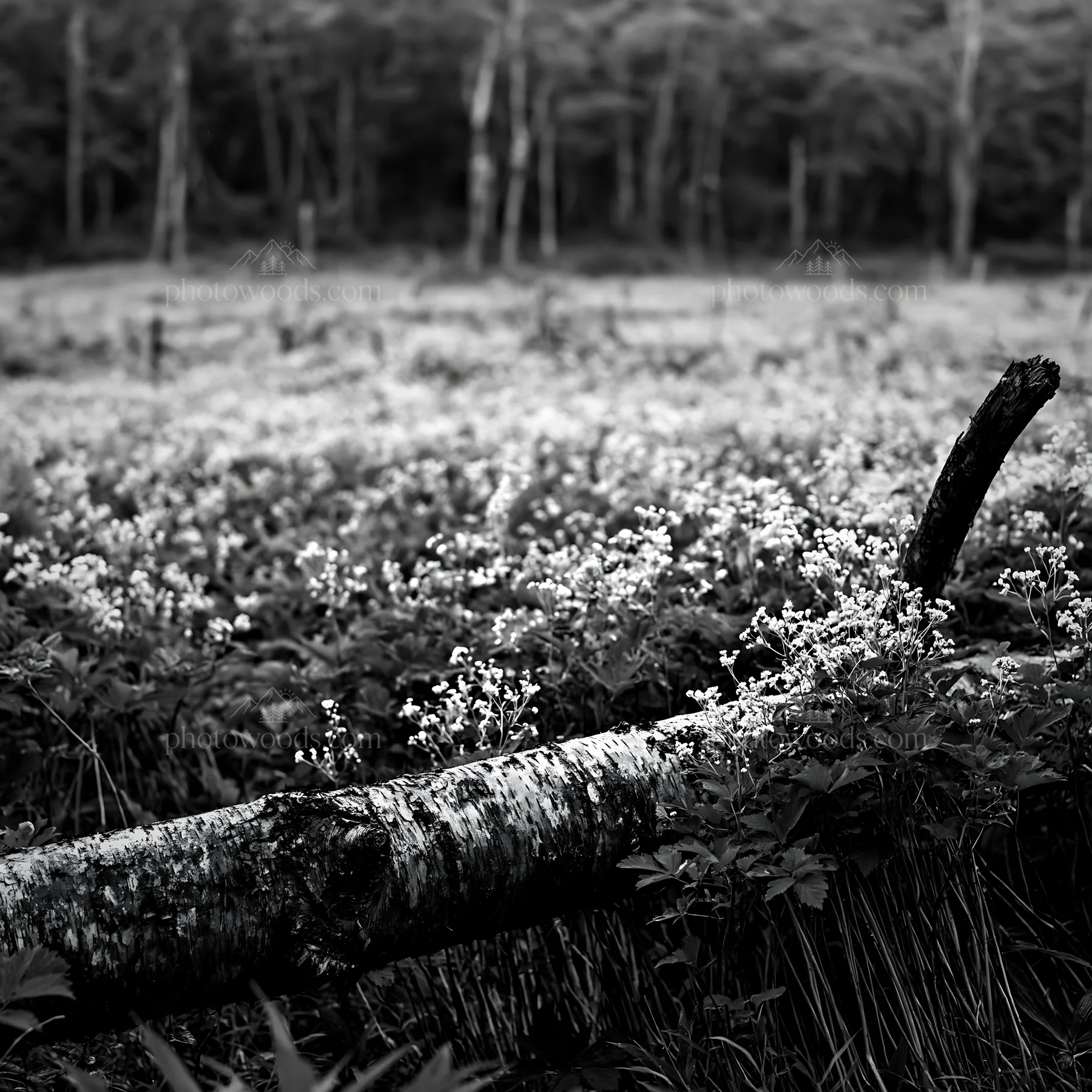 Black and white weathered log in a meadow with flowers and green plants - AI-generated stock image