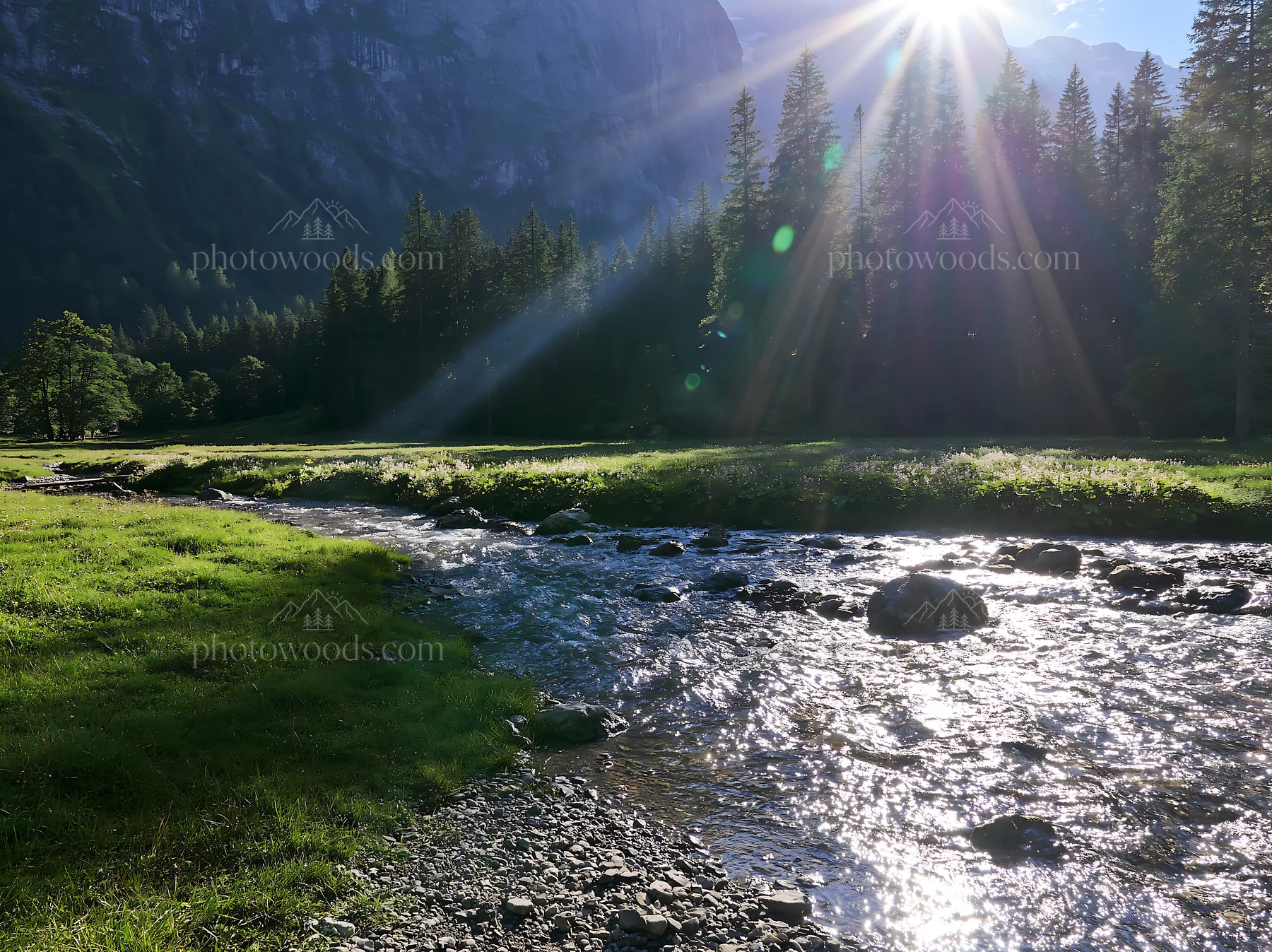 Lauterbrunnen Valley meadow with sunlight and flowing stream - AI-generated stock image