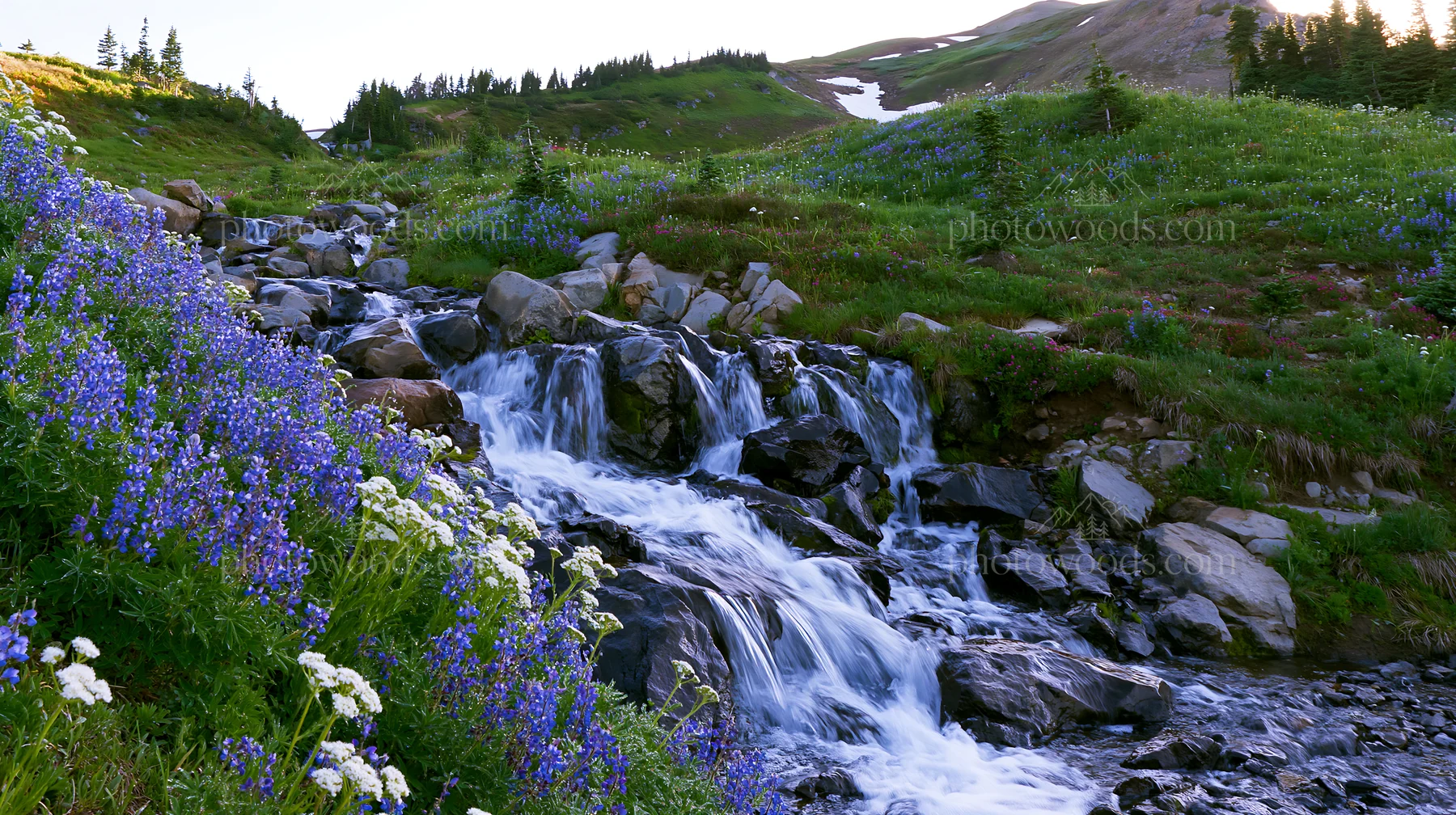 Mountain flower meadow with waterfall in summer - AI-generated stock image