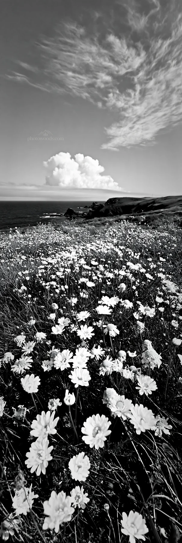Clifftop meadow with flowers and ocean view - AI-generated stock image