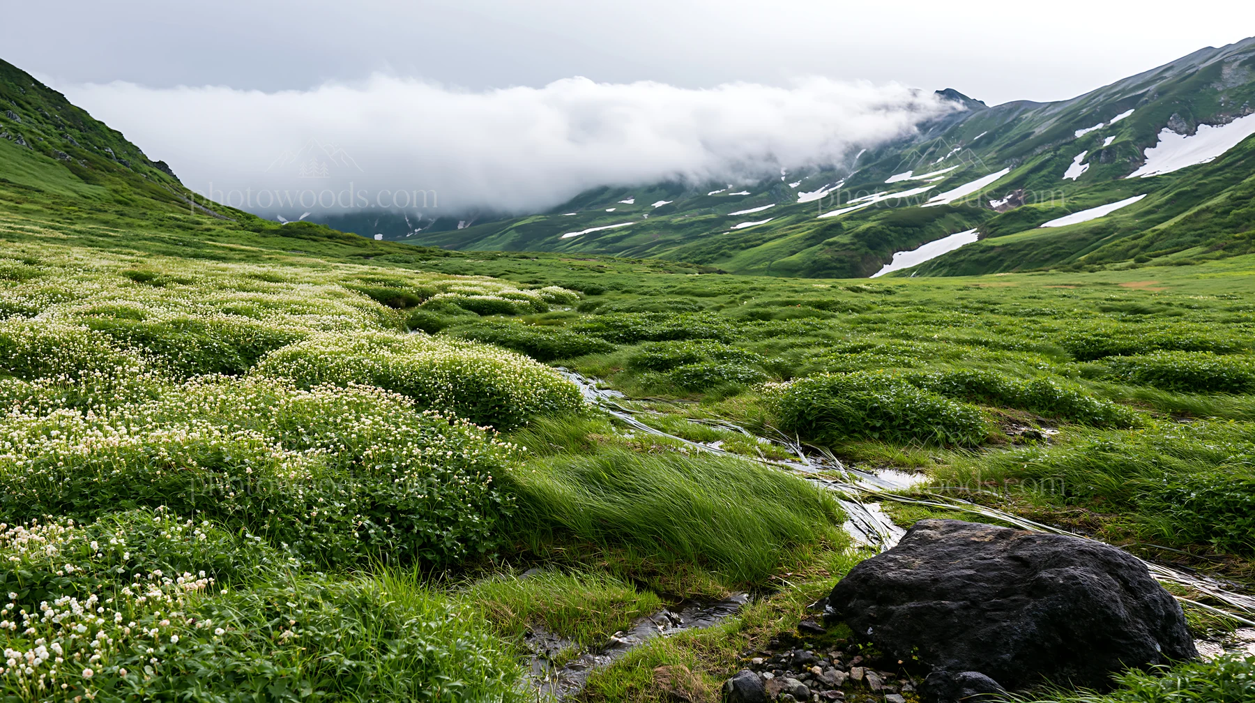 Snowmelt flows through green alpine meadow in Toyama - AI-generated stock image