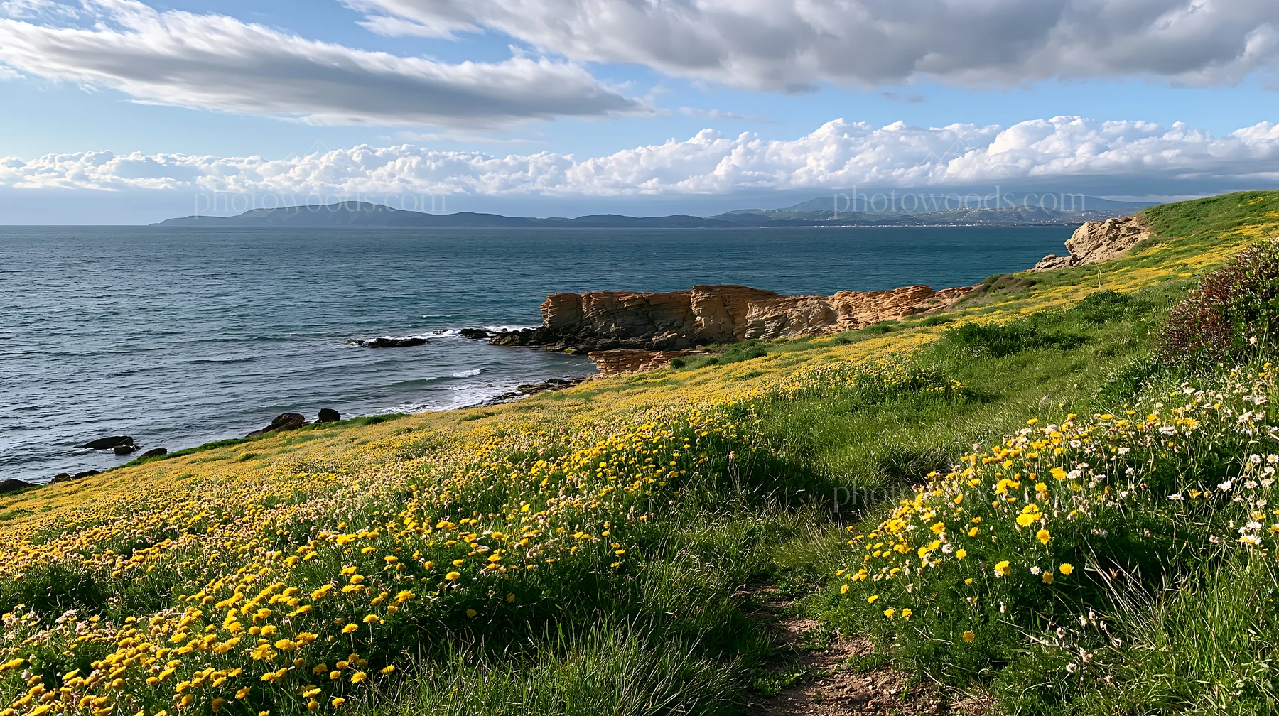 Lush meadow with flowers along rocky Italian coastal sea - AI-generated stock image