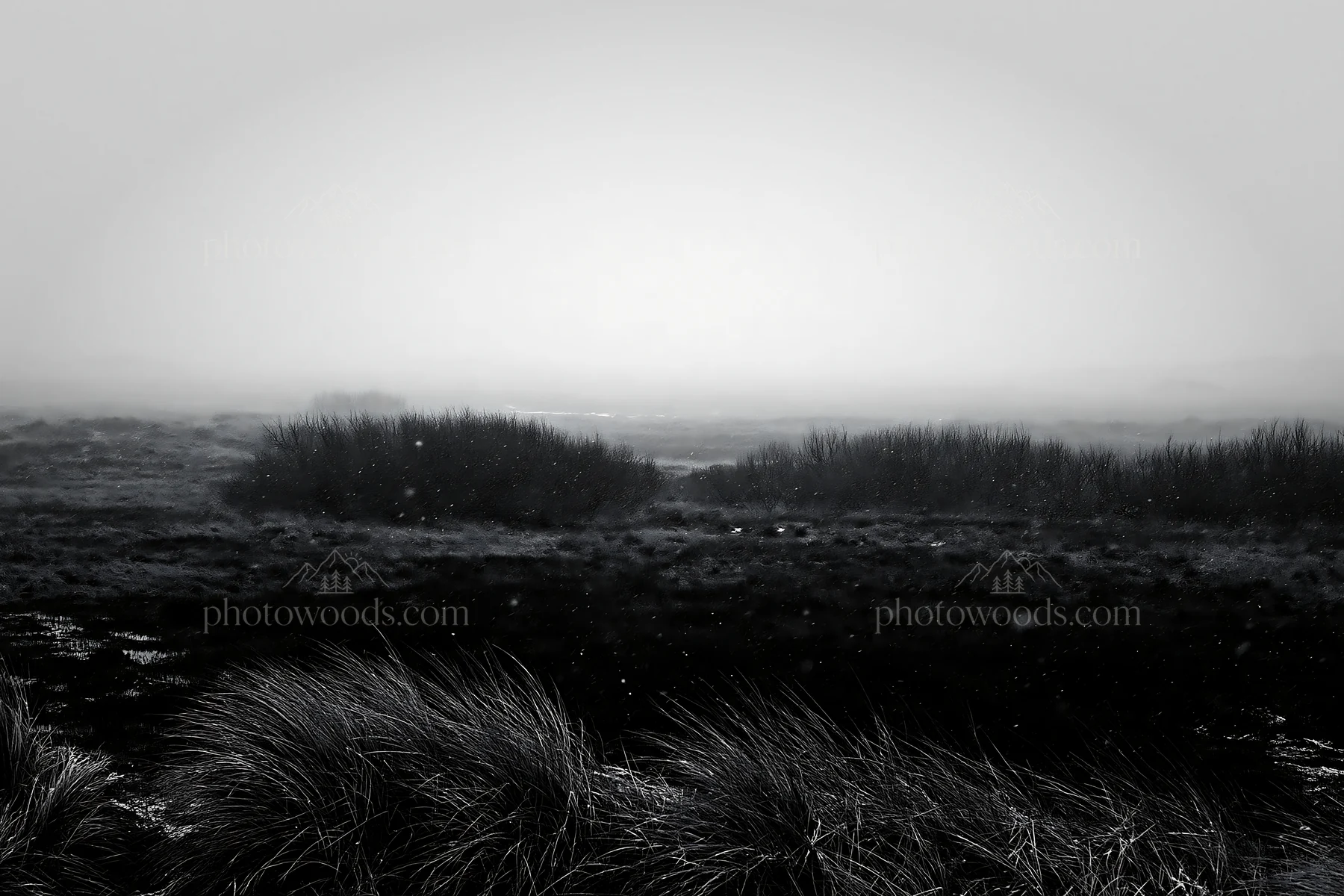Black and white dune meadow snow under gray sky with low visibility - AI-generated stock image