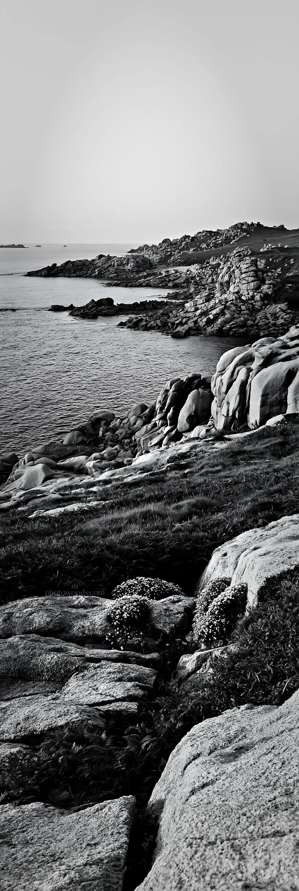 Clifftop meadow overlooking rocky coastline and ocean - AI-generated stock image