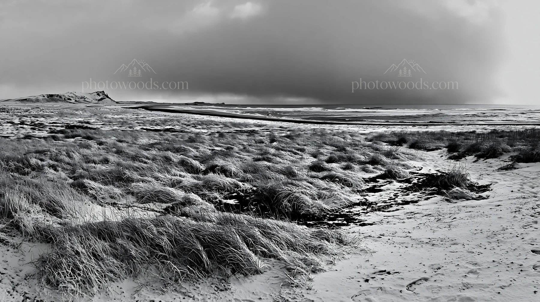 Snowy beach meadow with grass and cloudy sky - AI-generated stock image