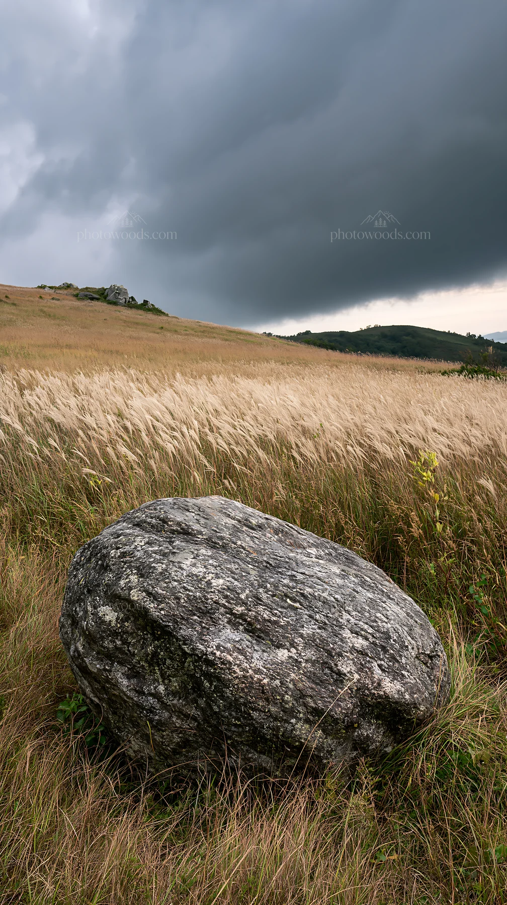 Aomori climate resilient meadow with boulder under cloudy sky - AI-generated stock image