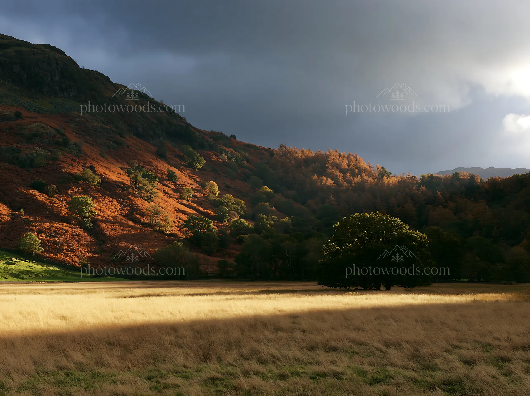 Autumn meadow with sunlight and mountains in the background - AI-generated stock image