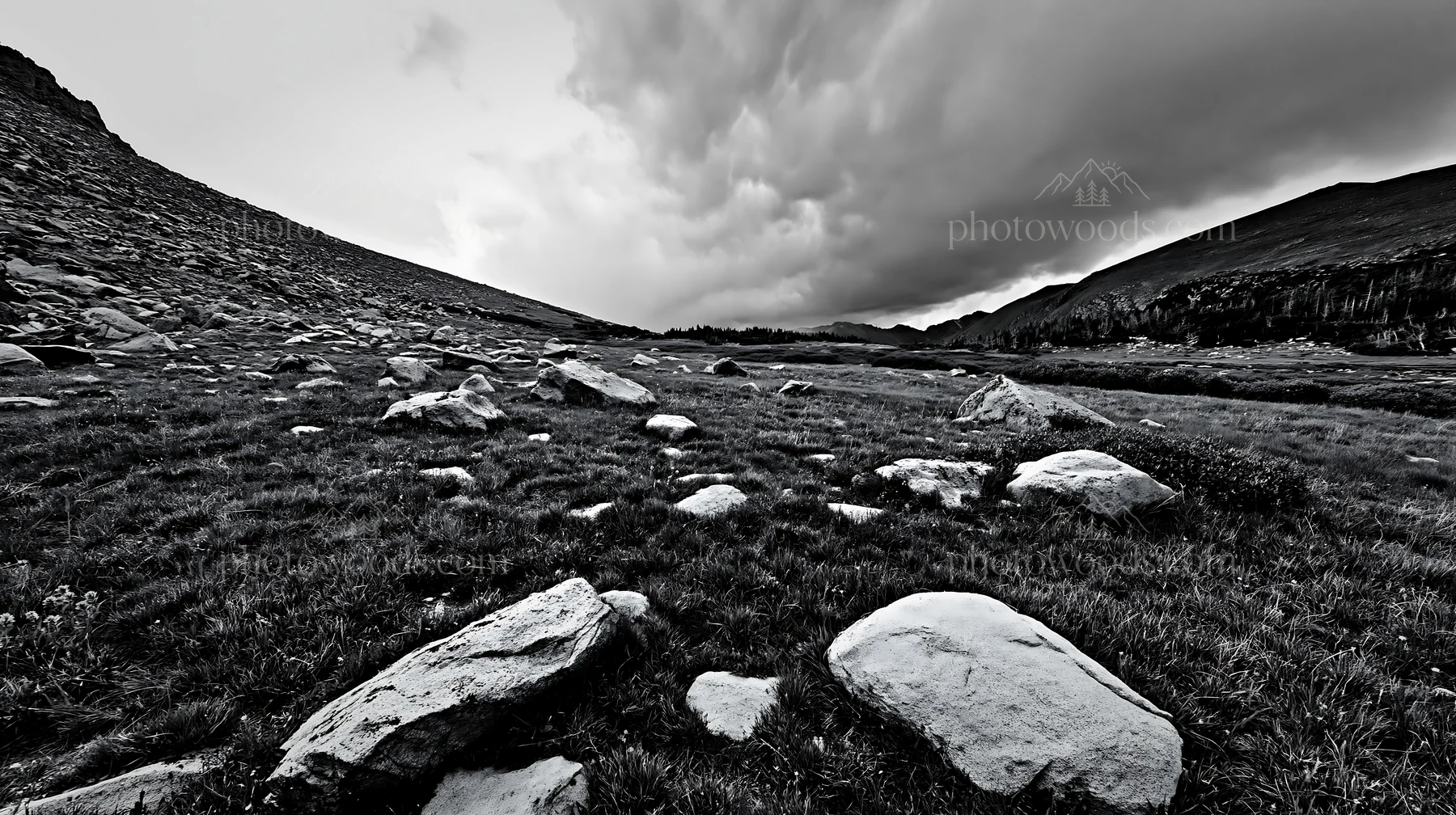 Meadow with boulders under cloudy sky in black and white - AI-generated stock image