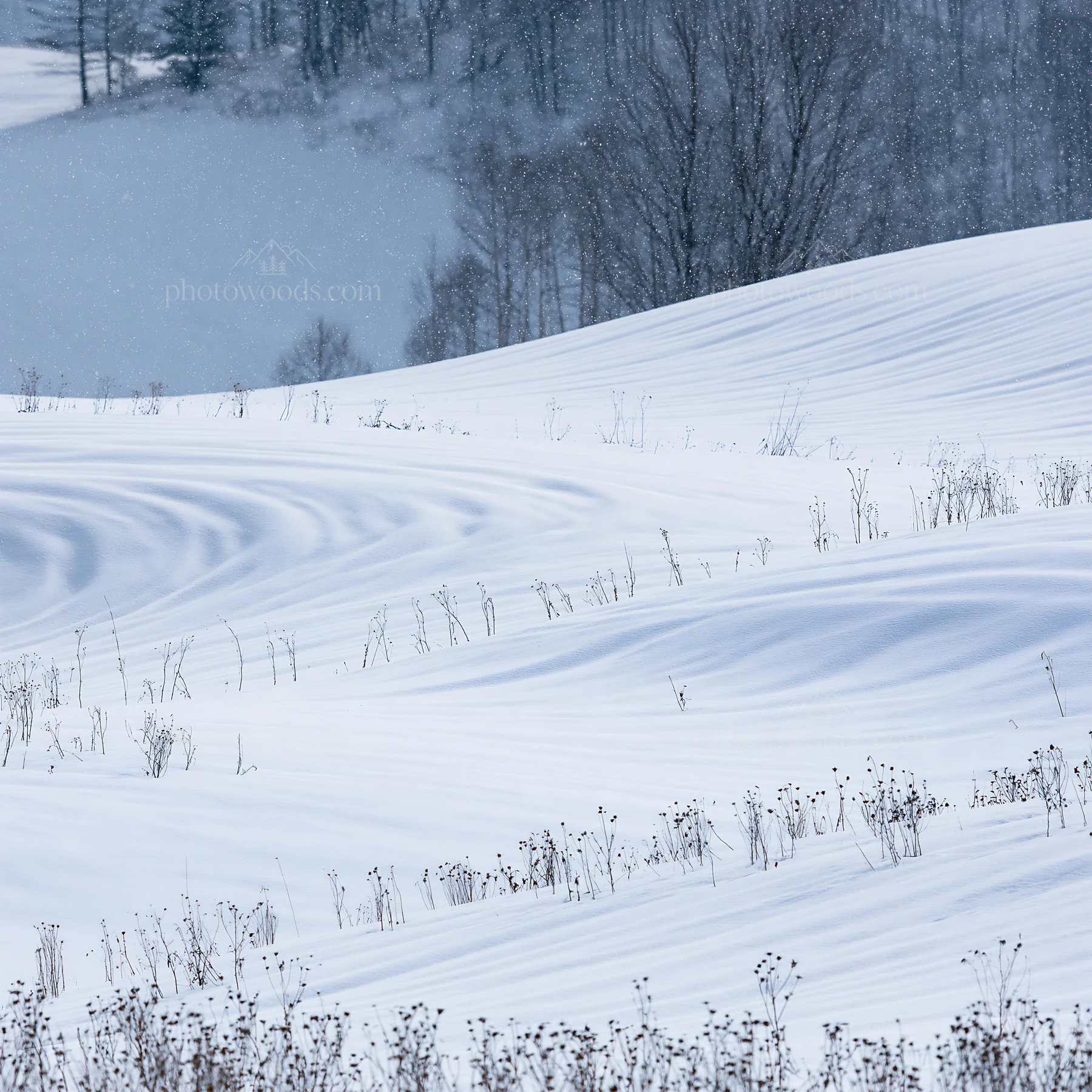 Snow covered Biei hills meadow in winter season - AI-generated stock image