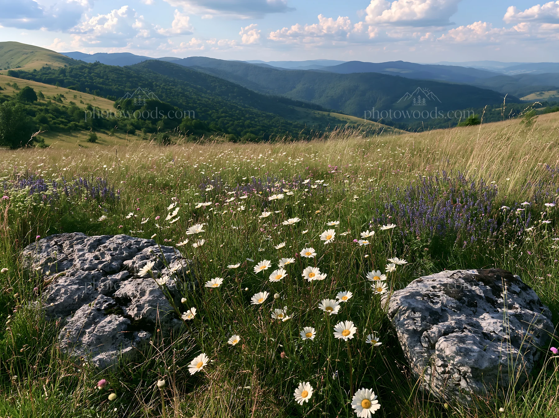 Meadow with boulders and flowers under cloudy sky - AI-generated stock image