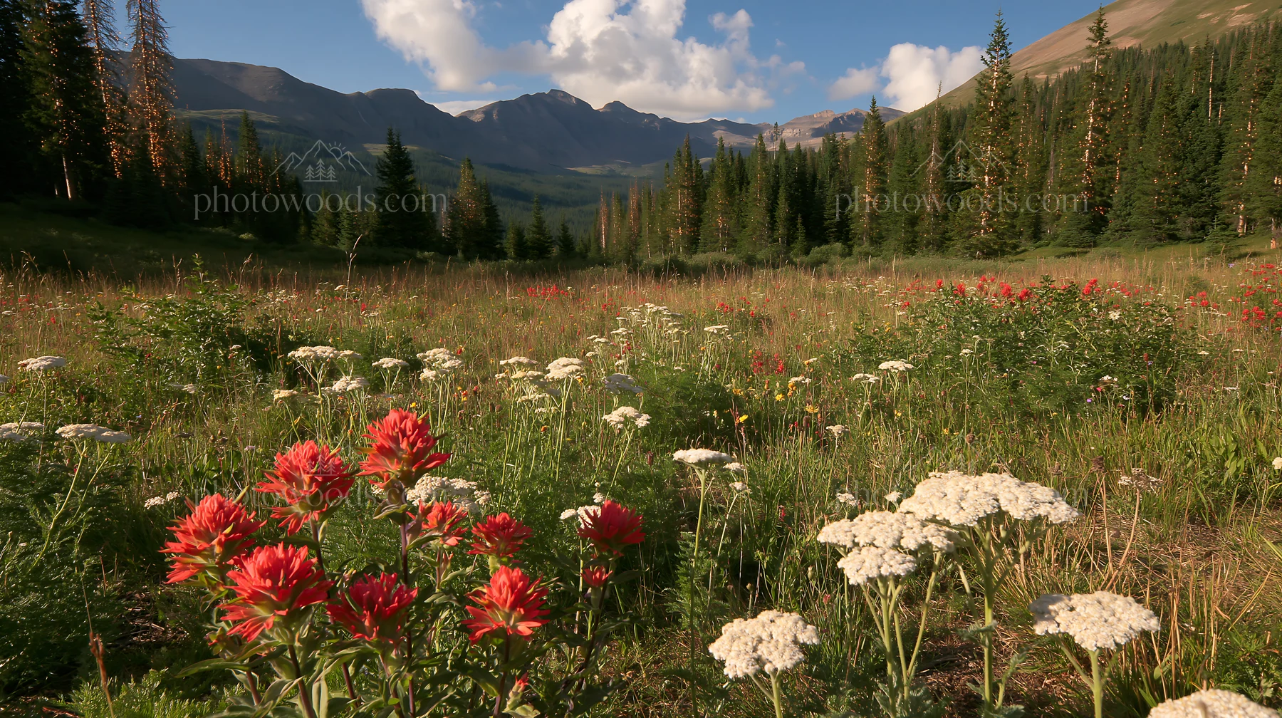 Christmas lights across mountain valley meadow - AI-generated stock image