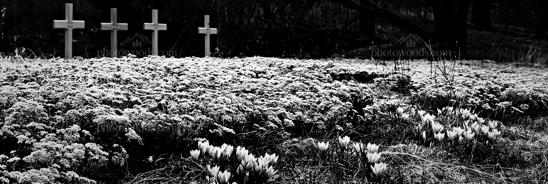 Four Christian crosses in winter meadow with flowers - AI-generated stock image