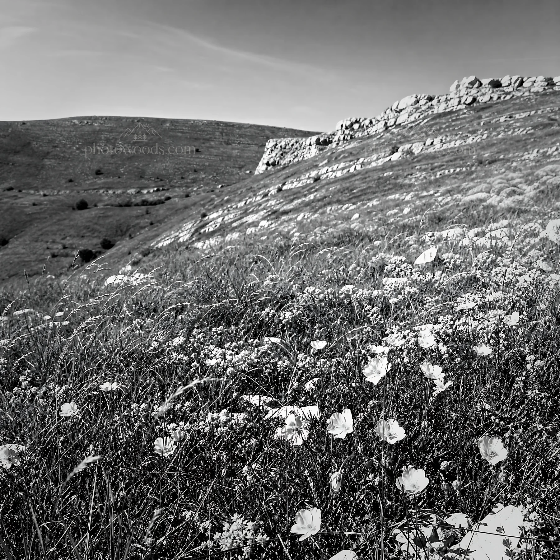Sunny limestone meadow with wildflowers and hills - AI-generated stock image