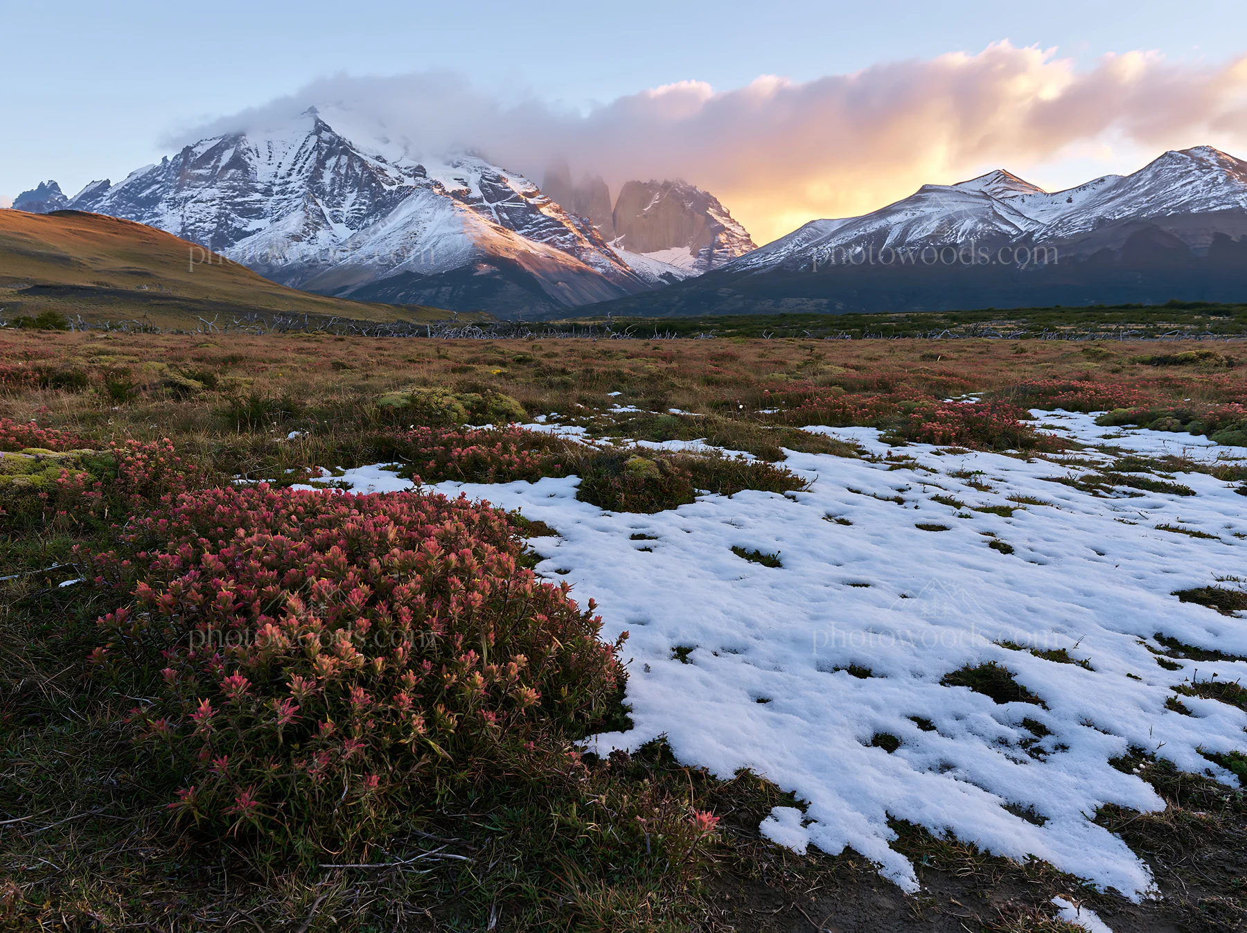 Torres del Paine meadow with snow and mountain backdrop - AI-generated stock image