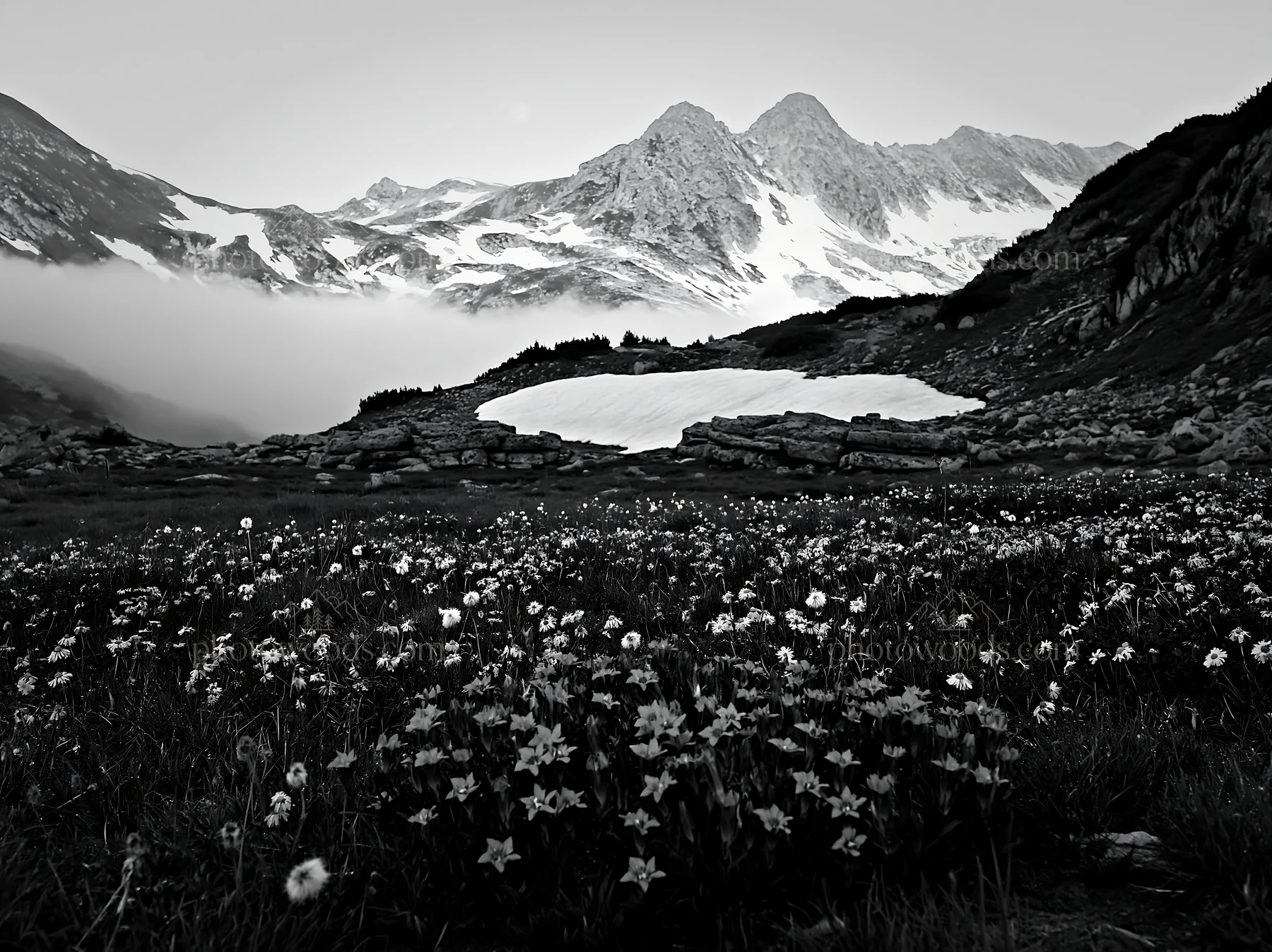 Moonrise over a meadow with mountains in the background - AI-generated stock image