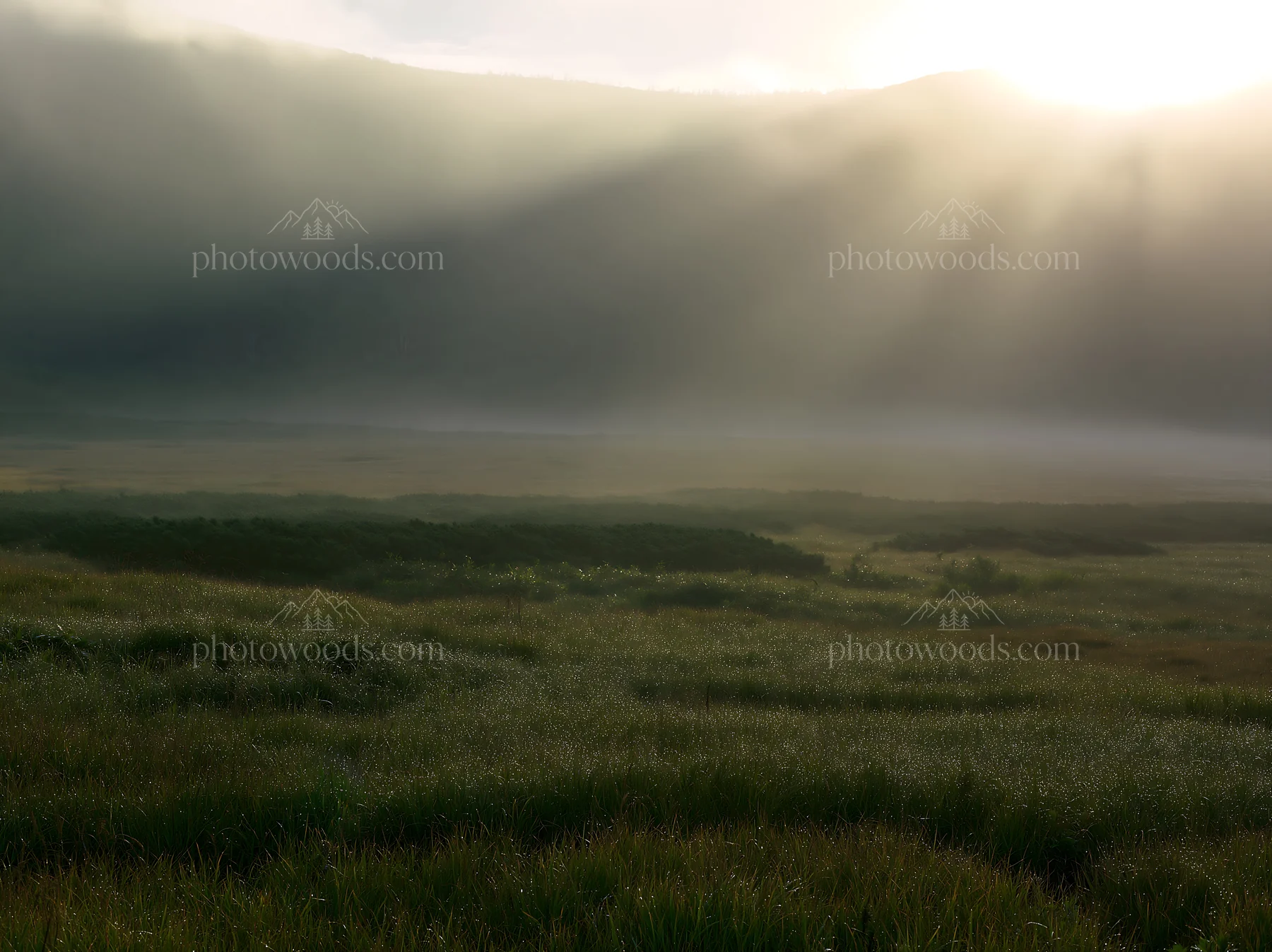 Daisetsuzan alpine meadow with light rays shining through clouds - AI-generated stock image