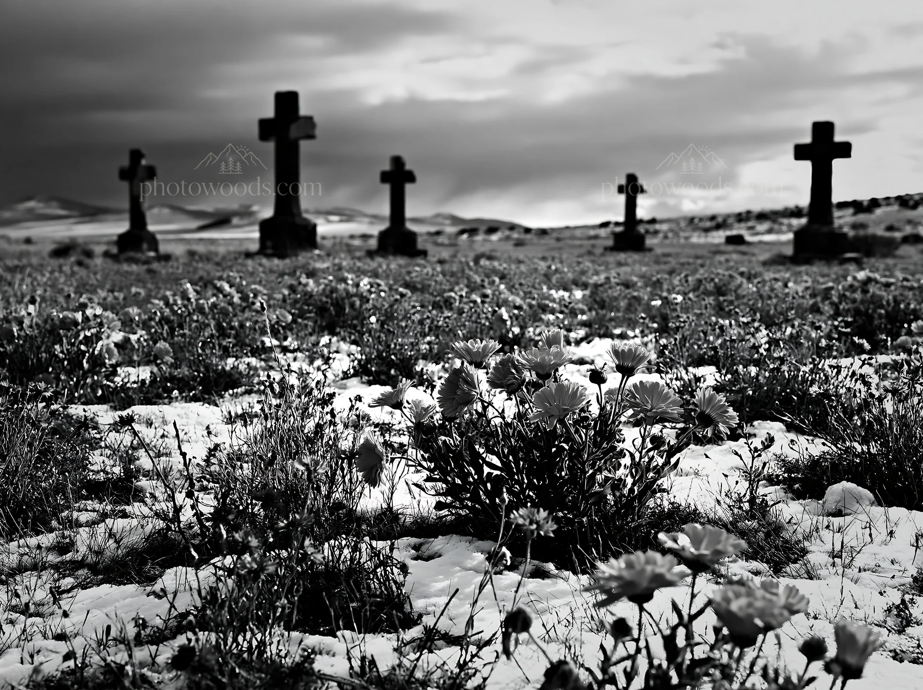 Multiple Christian crosses in snowy meadow with flowers - AI-generated stock image