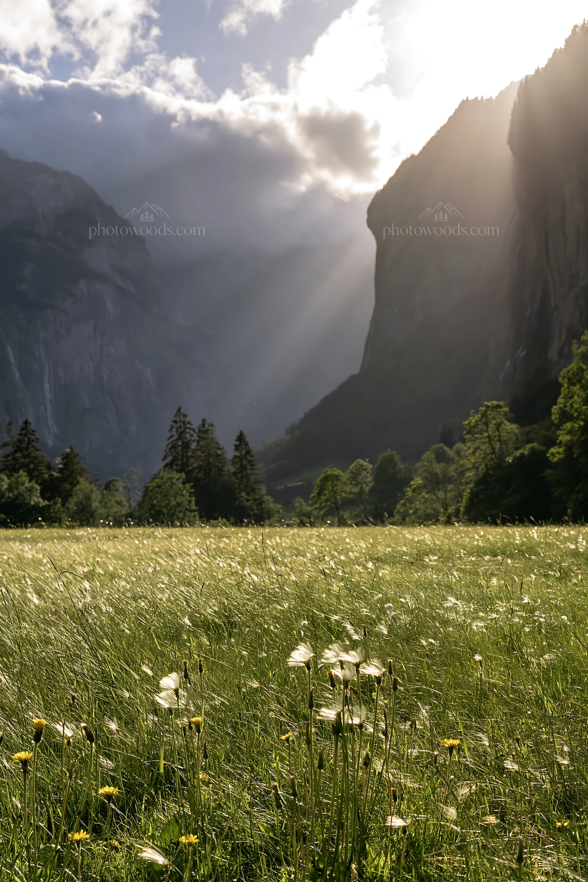 Lauterbrunnen Valley meadow with light rays shining through - AI-generated stock image