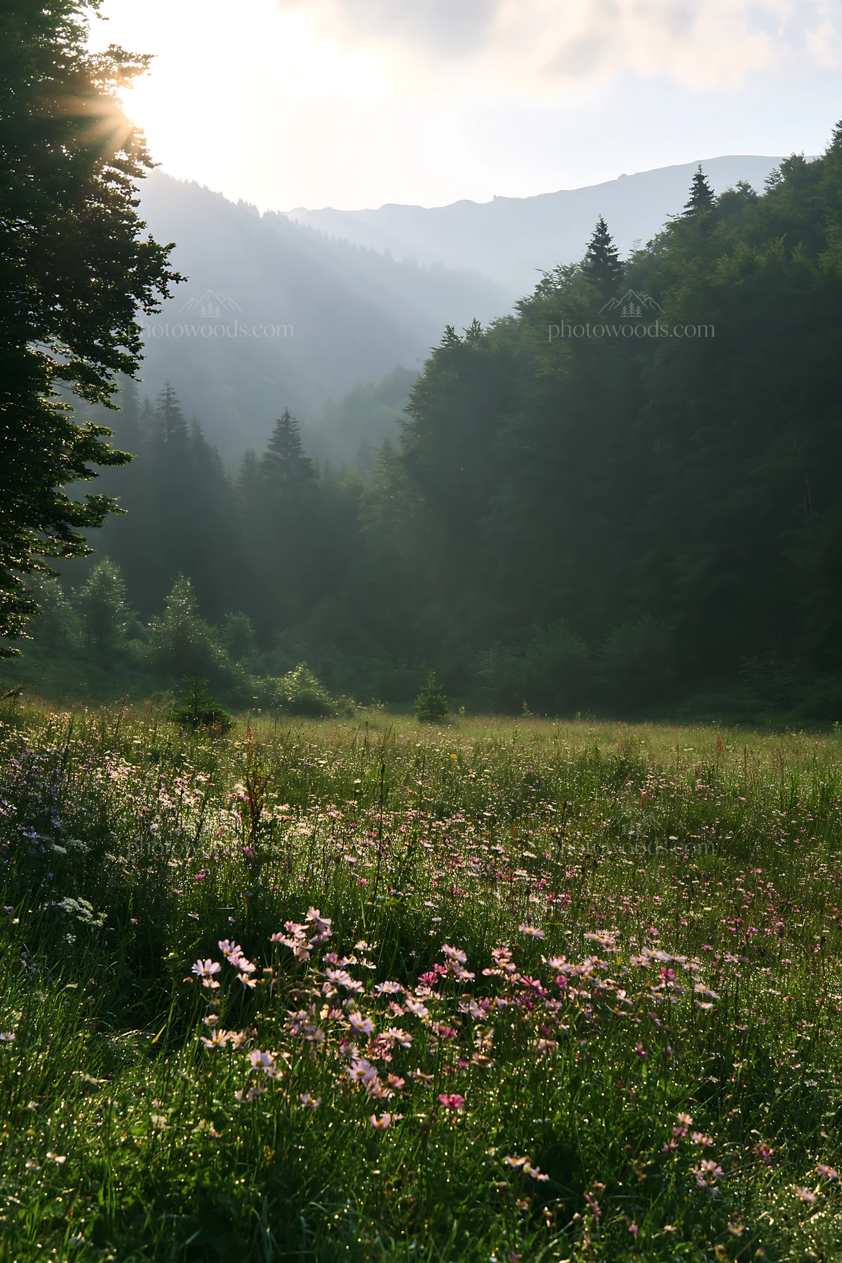 Light rays in Bucegi Mountains meadow with flowers - AI-generated stock image