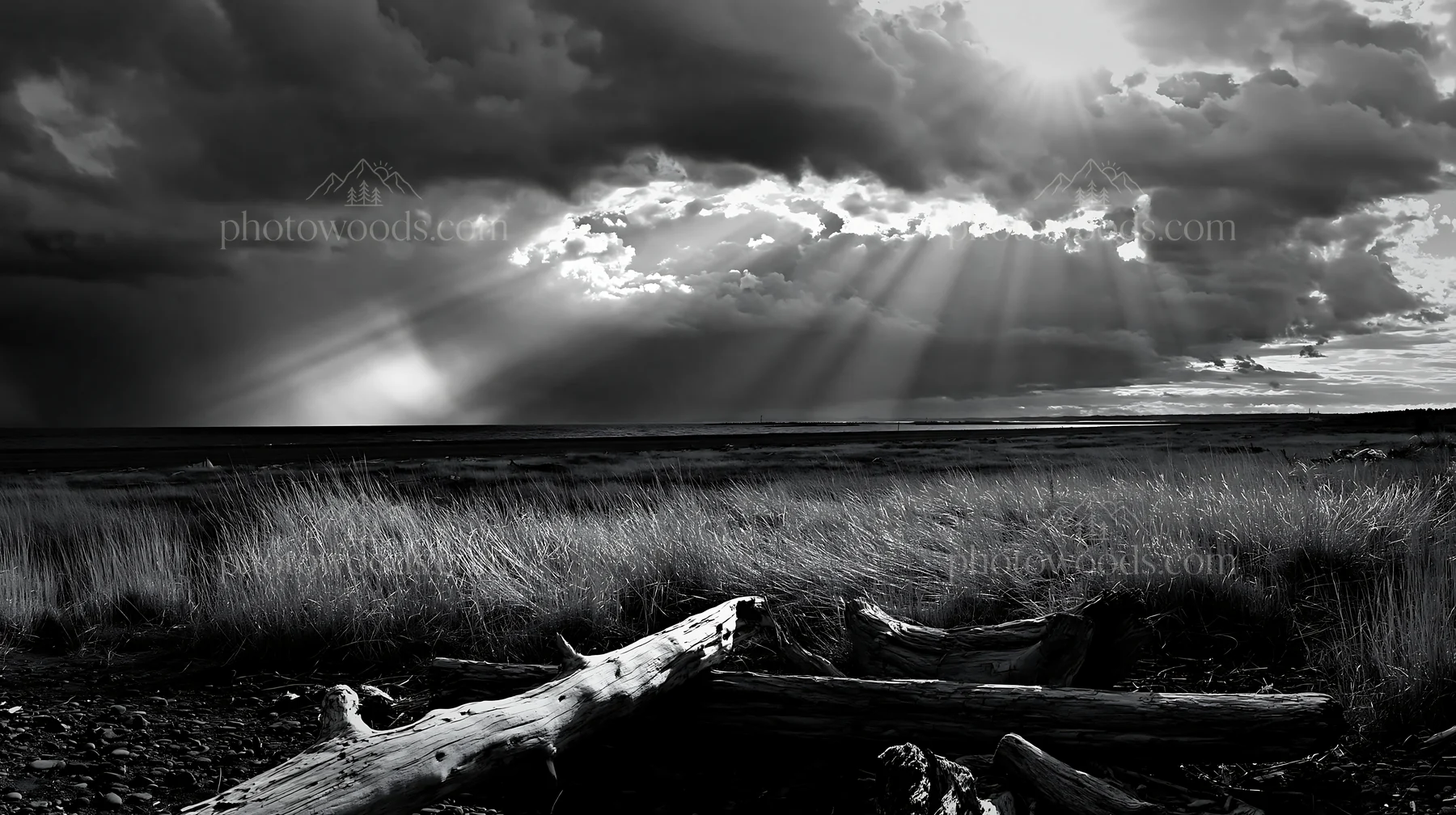 Chiba coastal meadow with driftwood and dramatic sky - AI-generated stock image