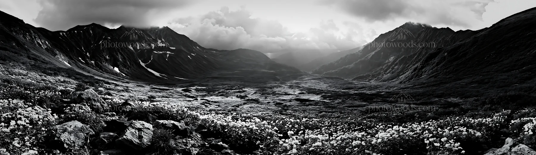Black and white toyama alpine meadow snowmelt rock foreground - AI-generated stock image