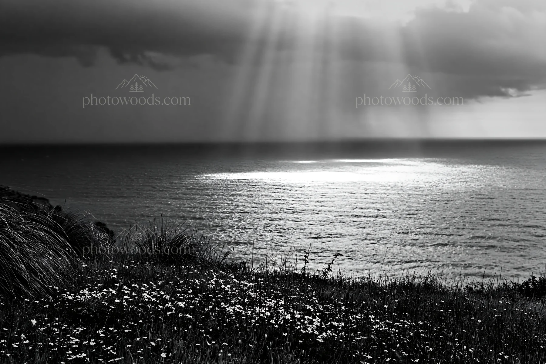 Coastal meadow cliffs with flowers and ocean reflections - AI-generated stock image