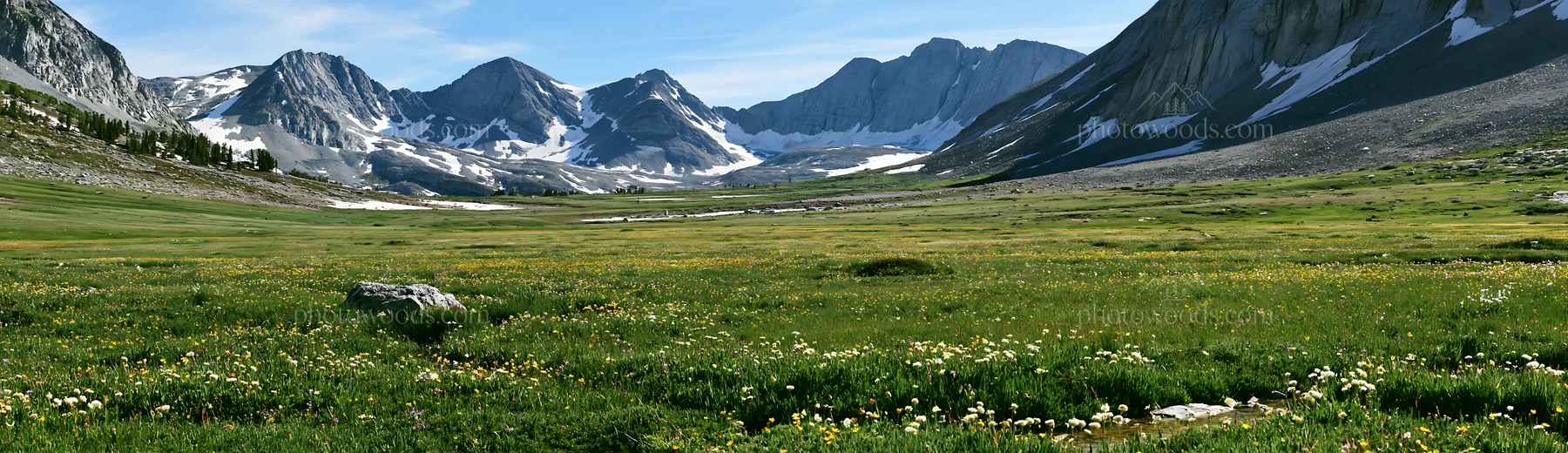 Meadow with mountains and snow in bright daylight - AI-generated stock image