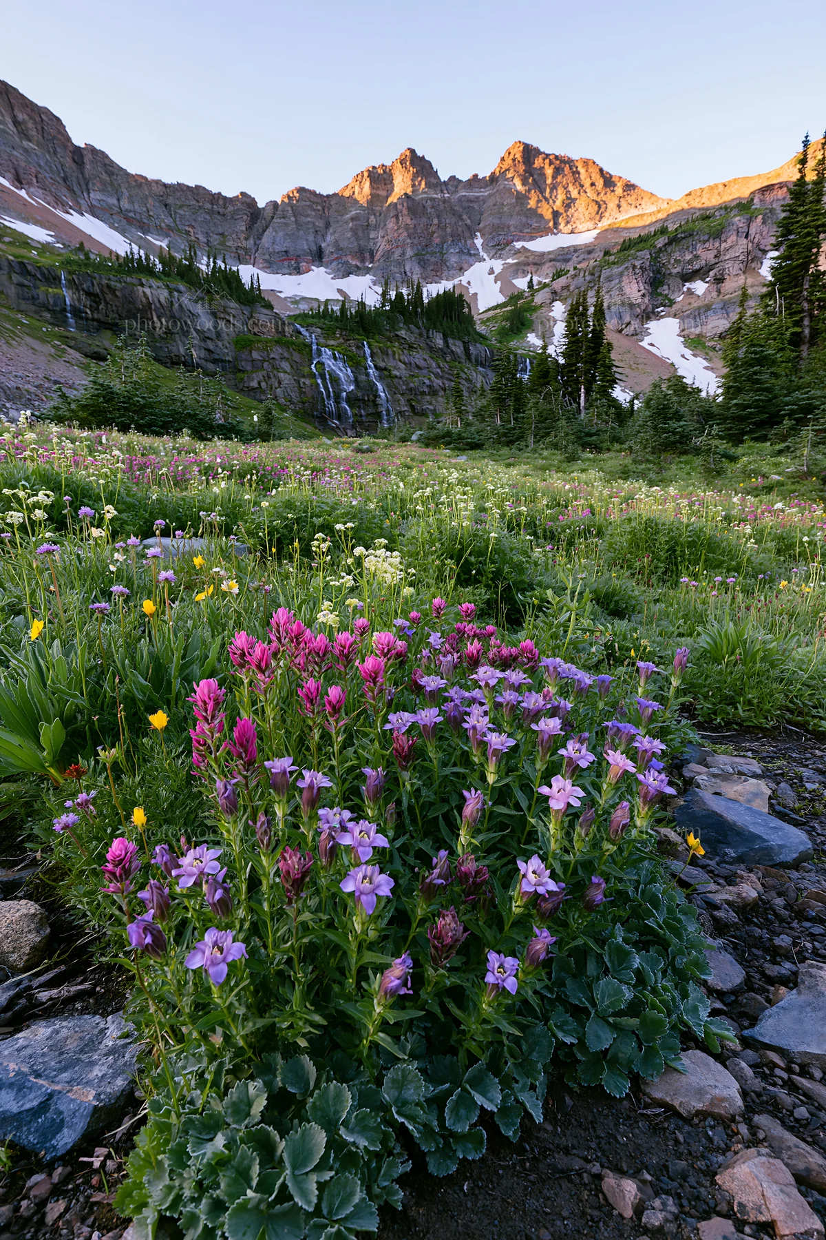 Flower meadow with distant cascade in mountain range - AI-generated stock image