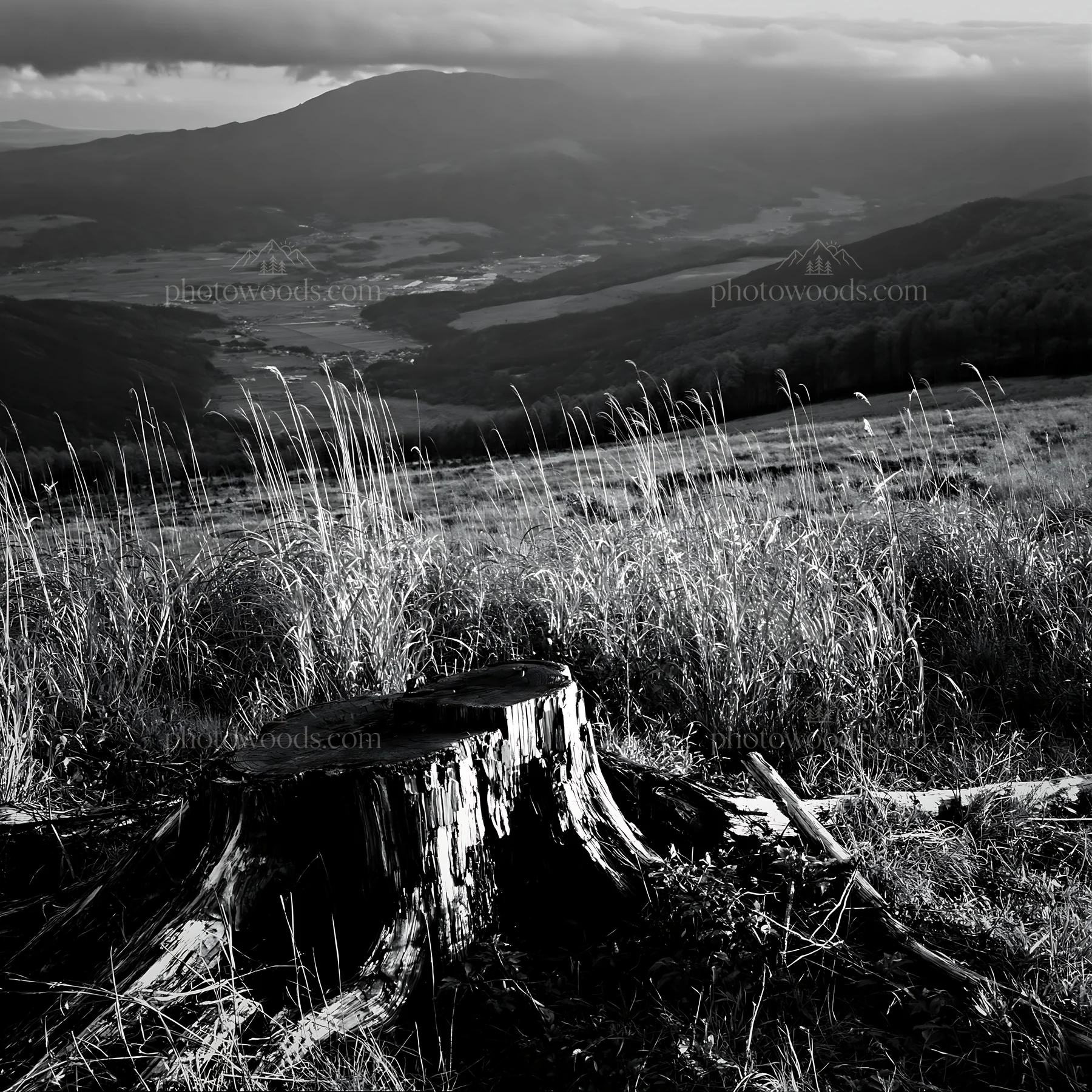 Wakayama autumn meadow with weathered wood and distant mountains - AI-generated stock image