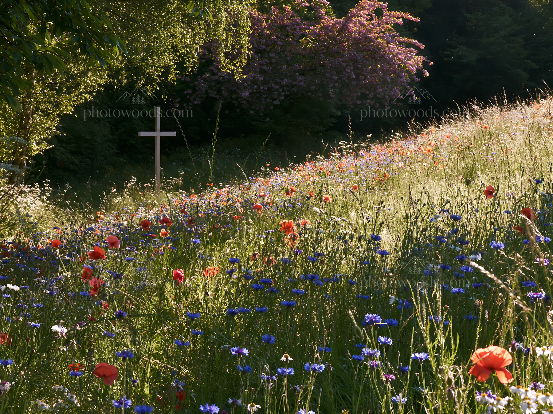 Cross in a meadow filled with wildflowers during Christmas - AI-generated stock image