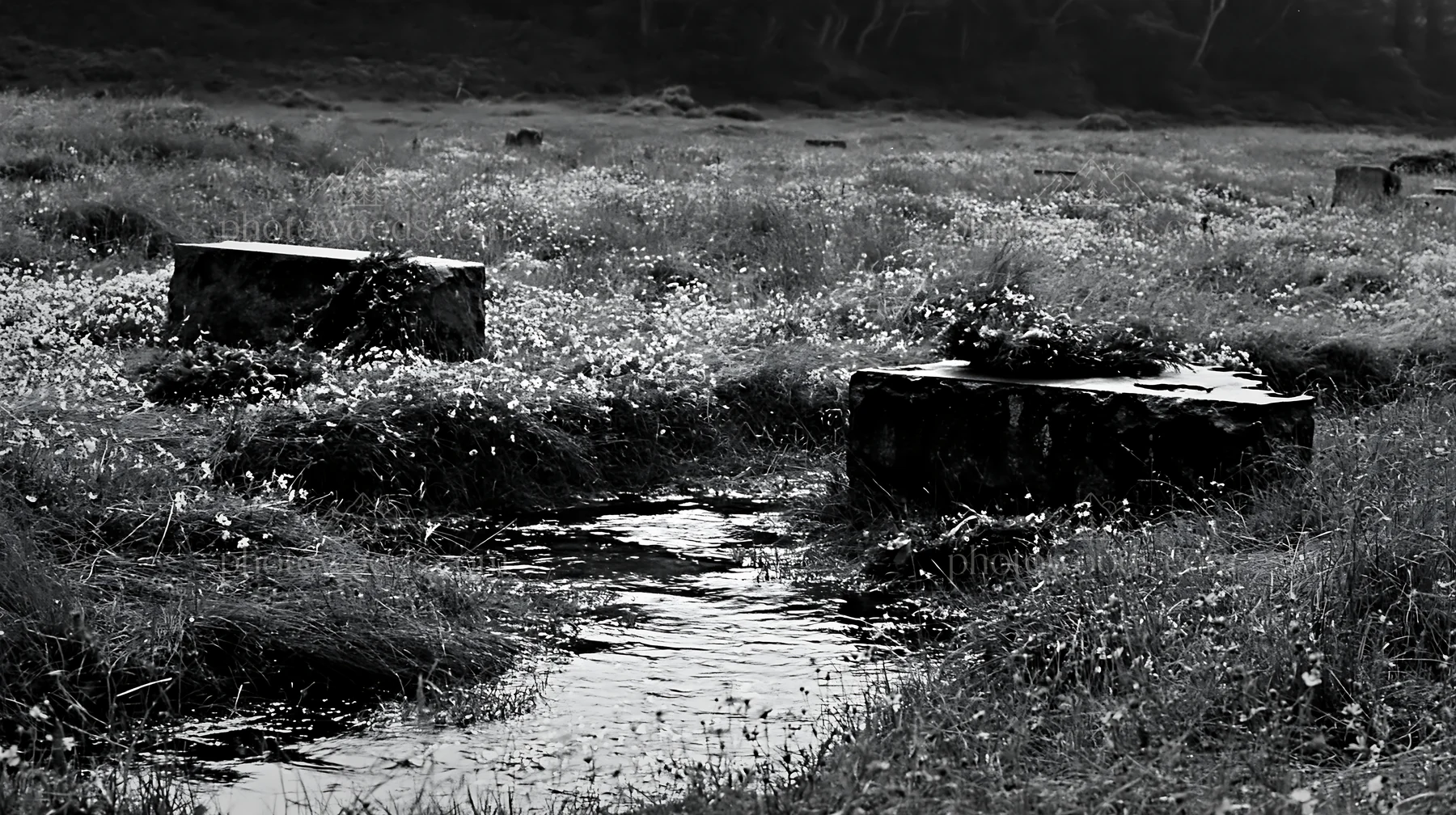 Christmas wreaths beside stream in meadow across black and white scene - AI-generated stock image