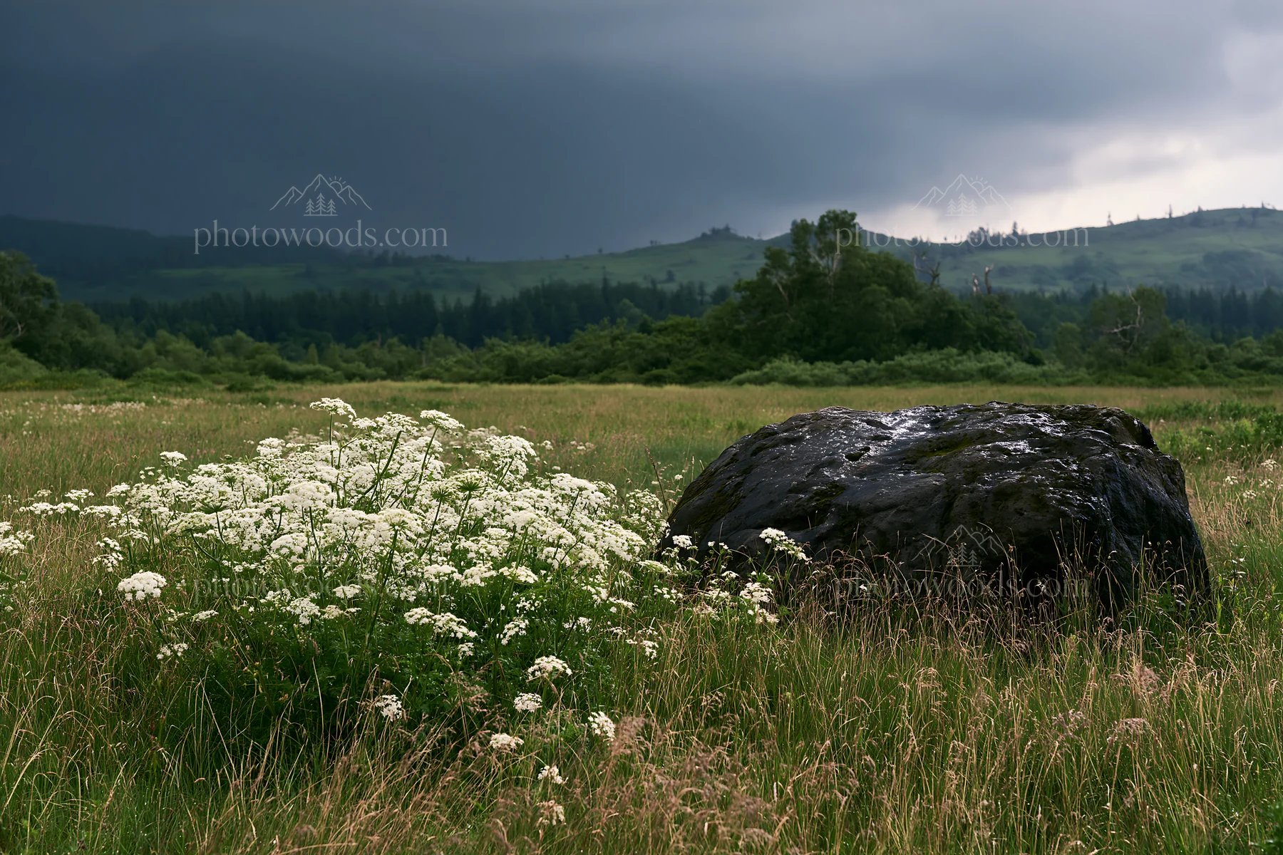 Aomori climate resilient meadow with boulder in cloudy weather - AI-generated stock image