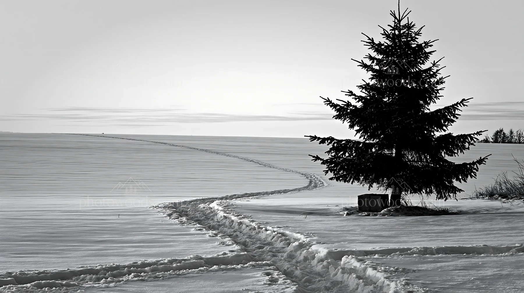 Single package beside evergreen tree in a snow-covered landscape - AI-generated stock image