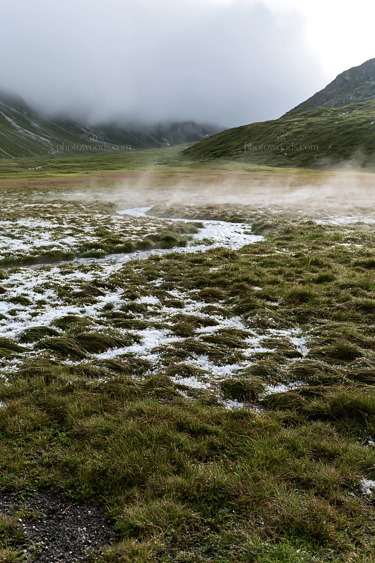 Mountain pass meadow with mist and grass - AI-generated stock image