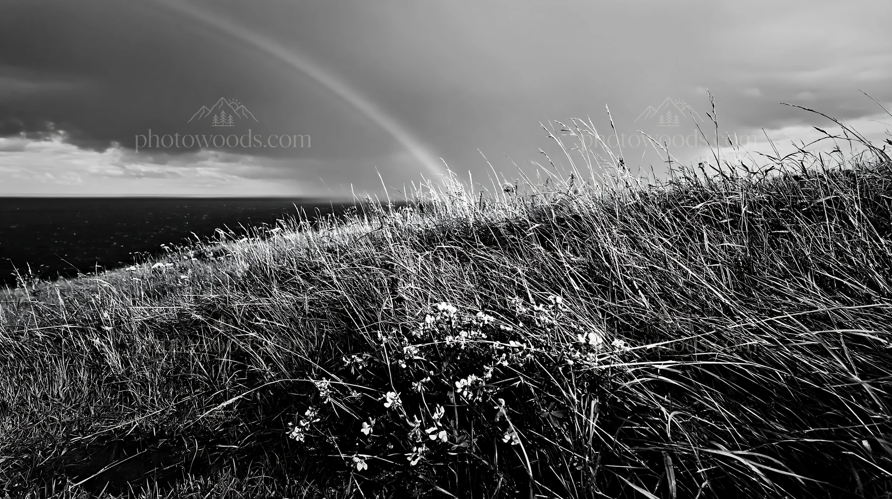 Clifftop meadow with grass and flowers under a rainbow - AI-generated stock image
