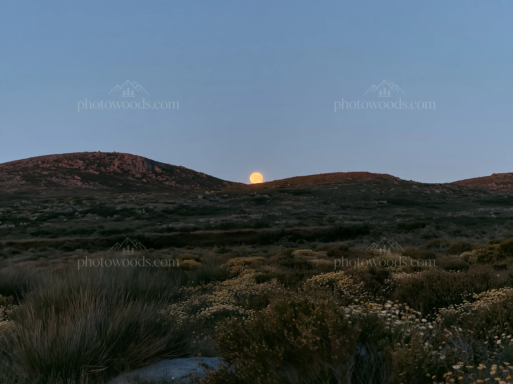 Moonrise over a meadow with hills in the background - AI-generated stock image