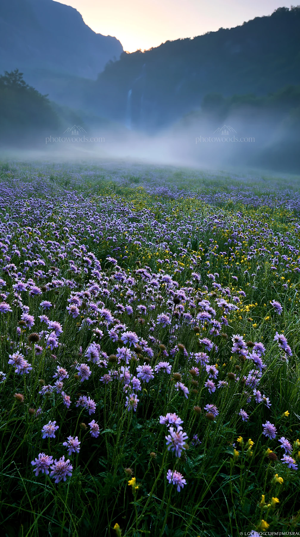 Wildflower meadow with waterfall mist in the background - AI-generated stock image