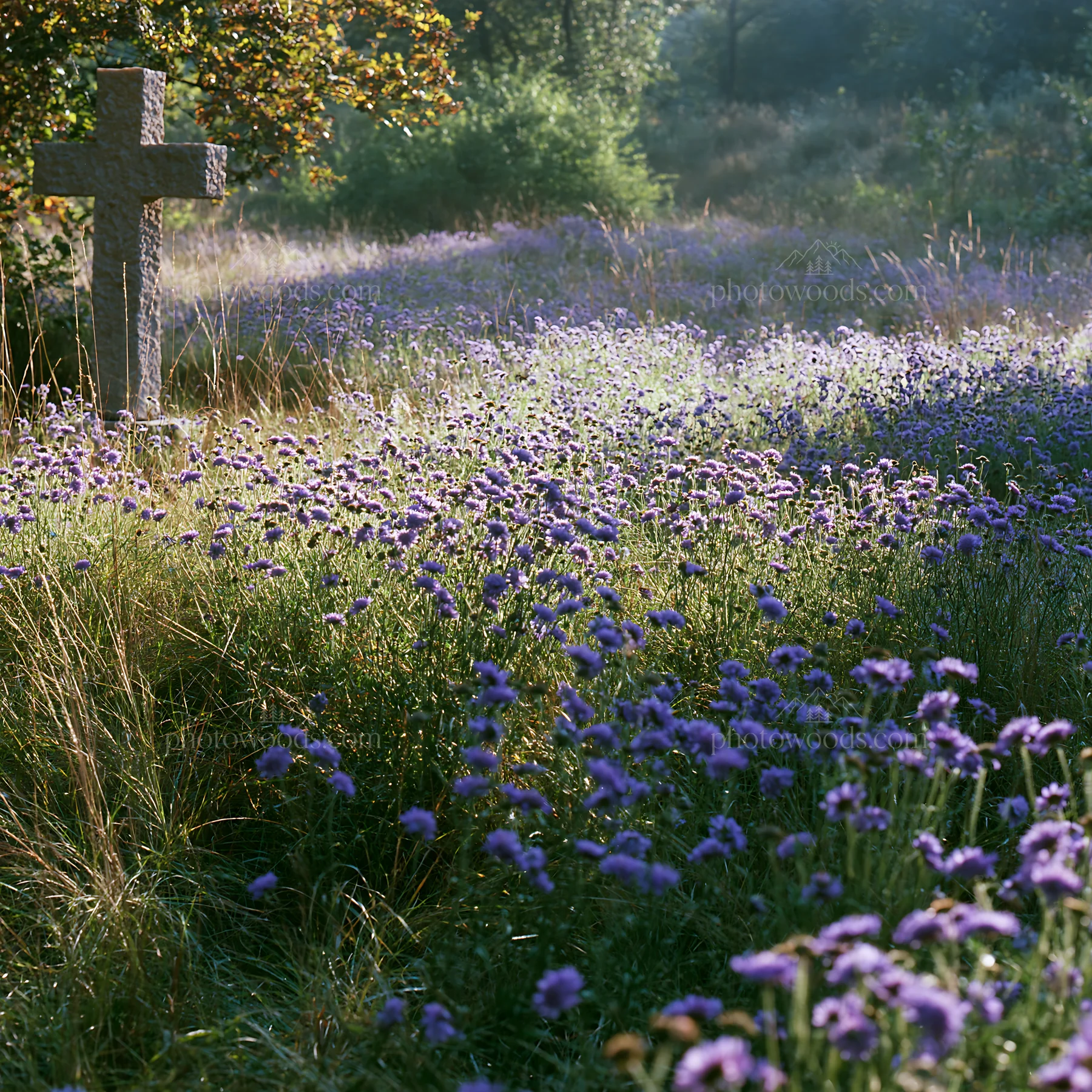 Christian cross near flowers in a meadow during daytime - AI-generated stock image
