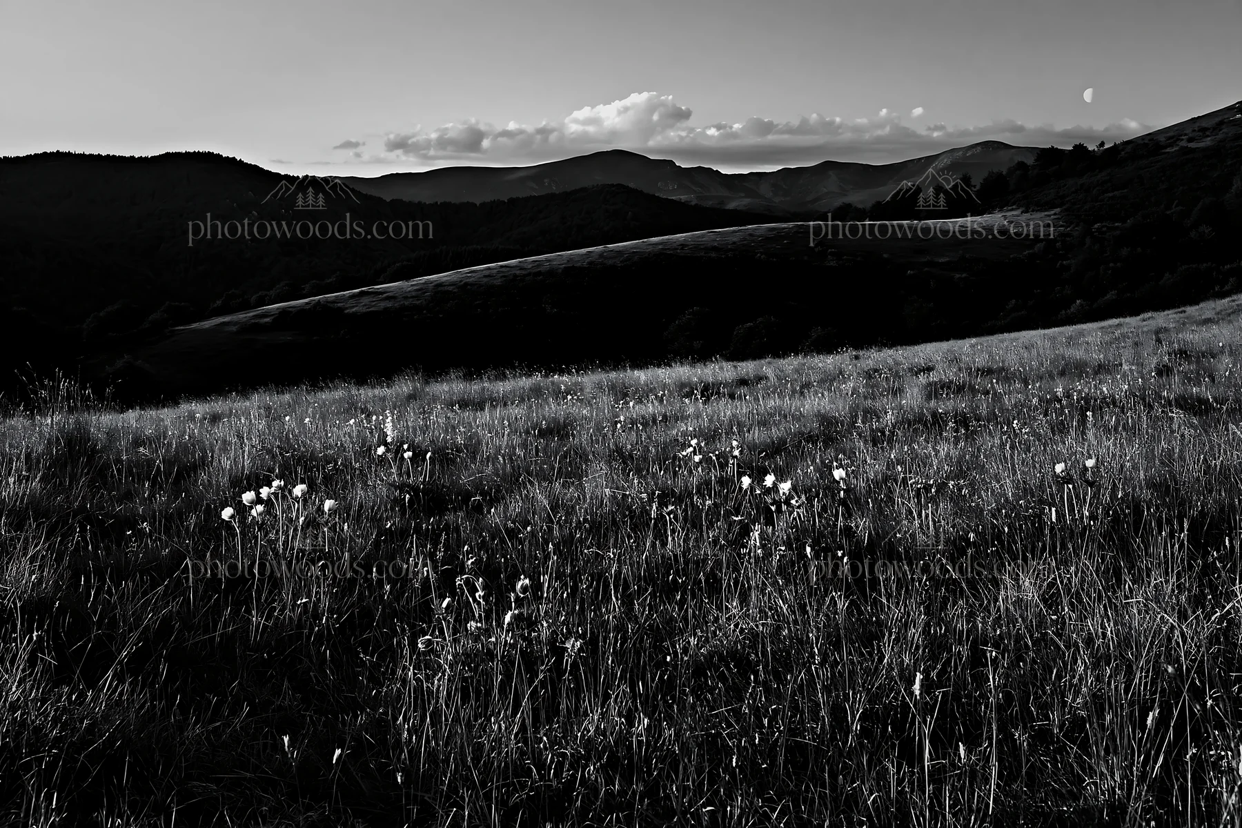 Moonrise over meadow with mountains in background - AI-generated stock image