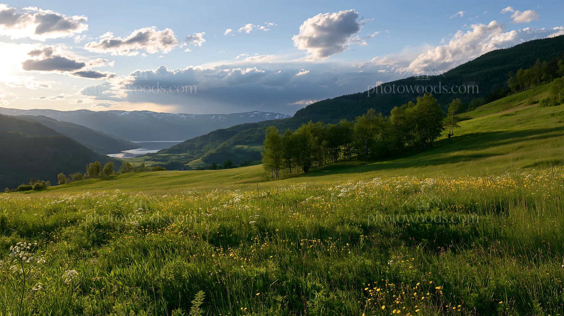 Rolling valley meadow with trees and distant mountains - AI-generated stock image