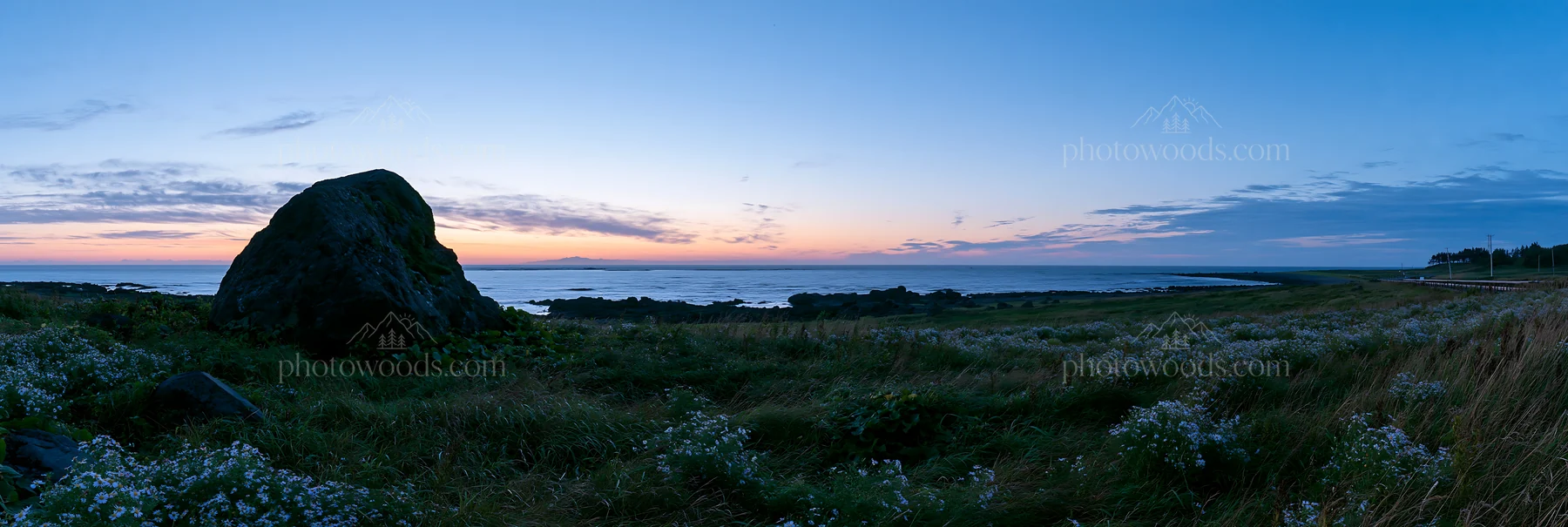 Aomori climate resilient meadow with boulder at sunset - AI-generated stock image