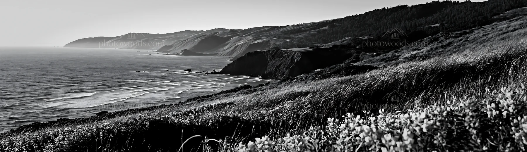 Black and white clifftop meadow with ocean view and blooming flowers - AI-generated stock image